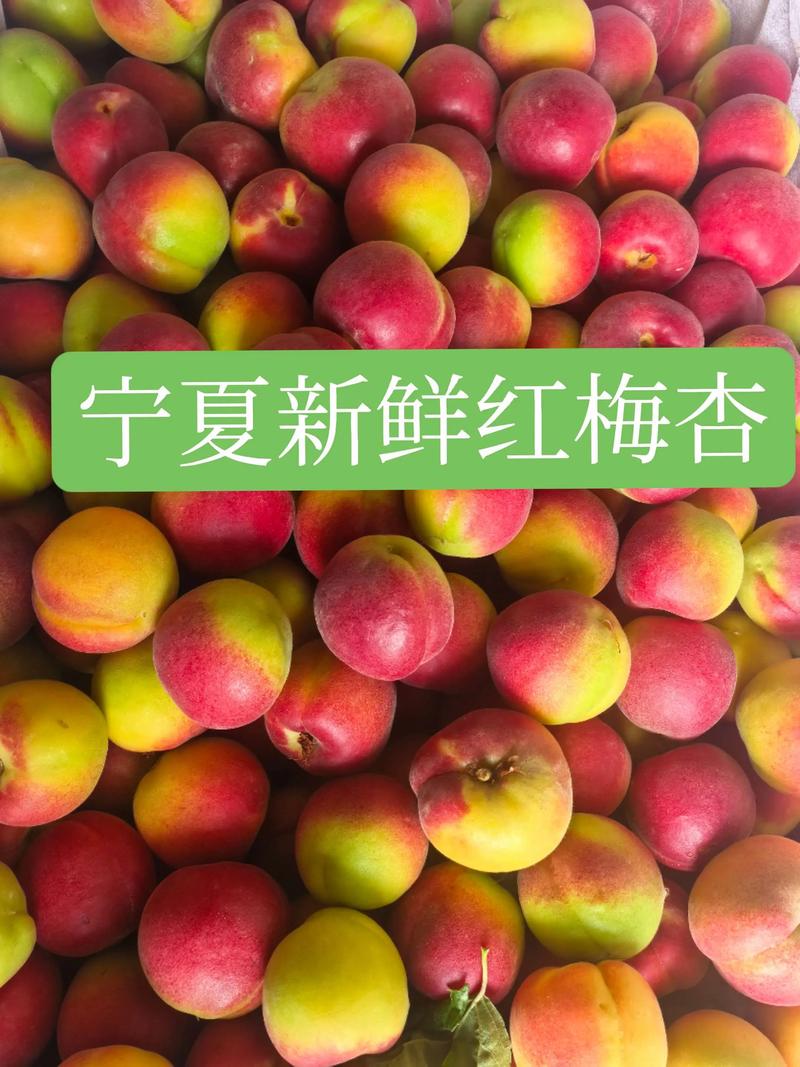 宁夏水果批发