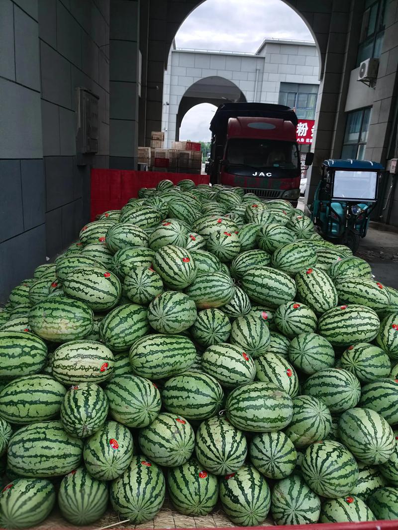 企业团购水果：新鲜美味的选择